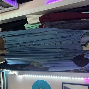 Blue Button-Down Dress
